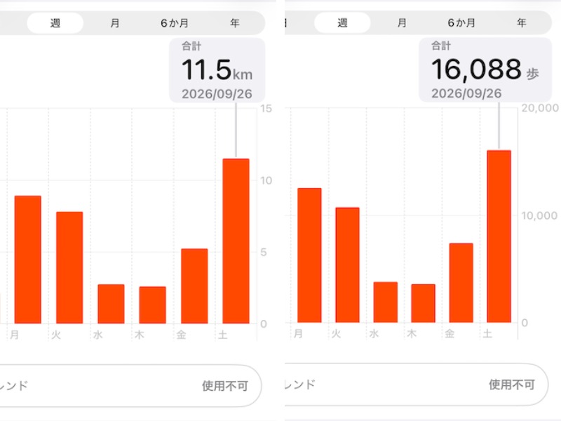 倉庫バイトの歩数とキロ数